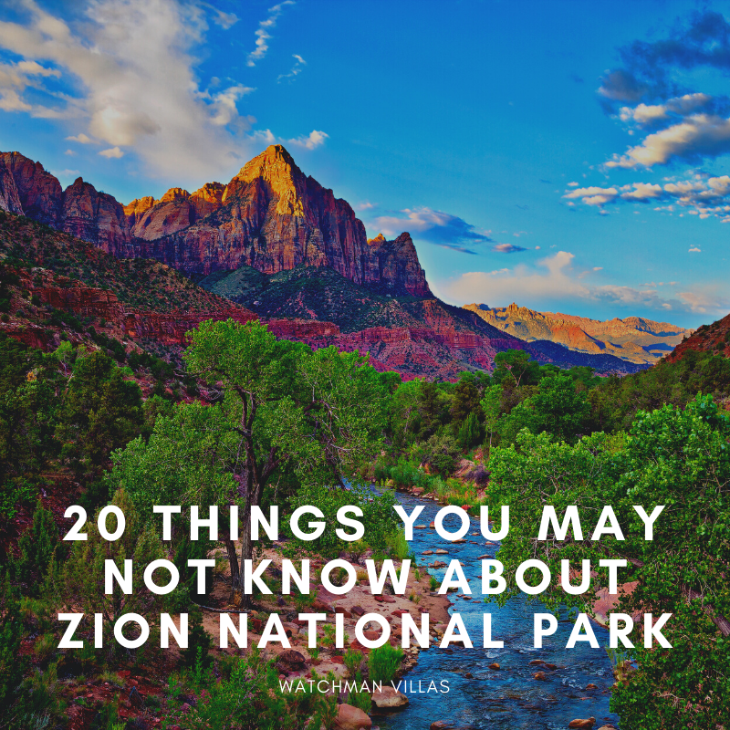 20 Things You May Not Know About Zion National Park