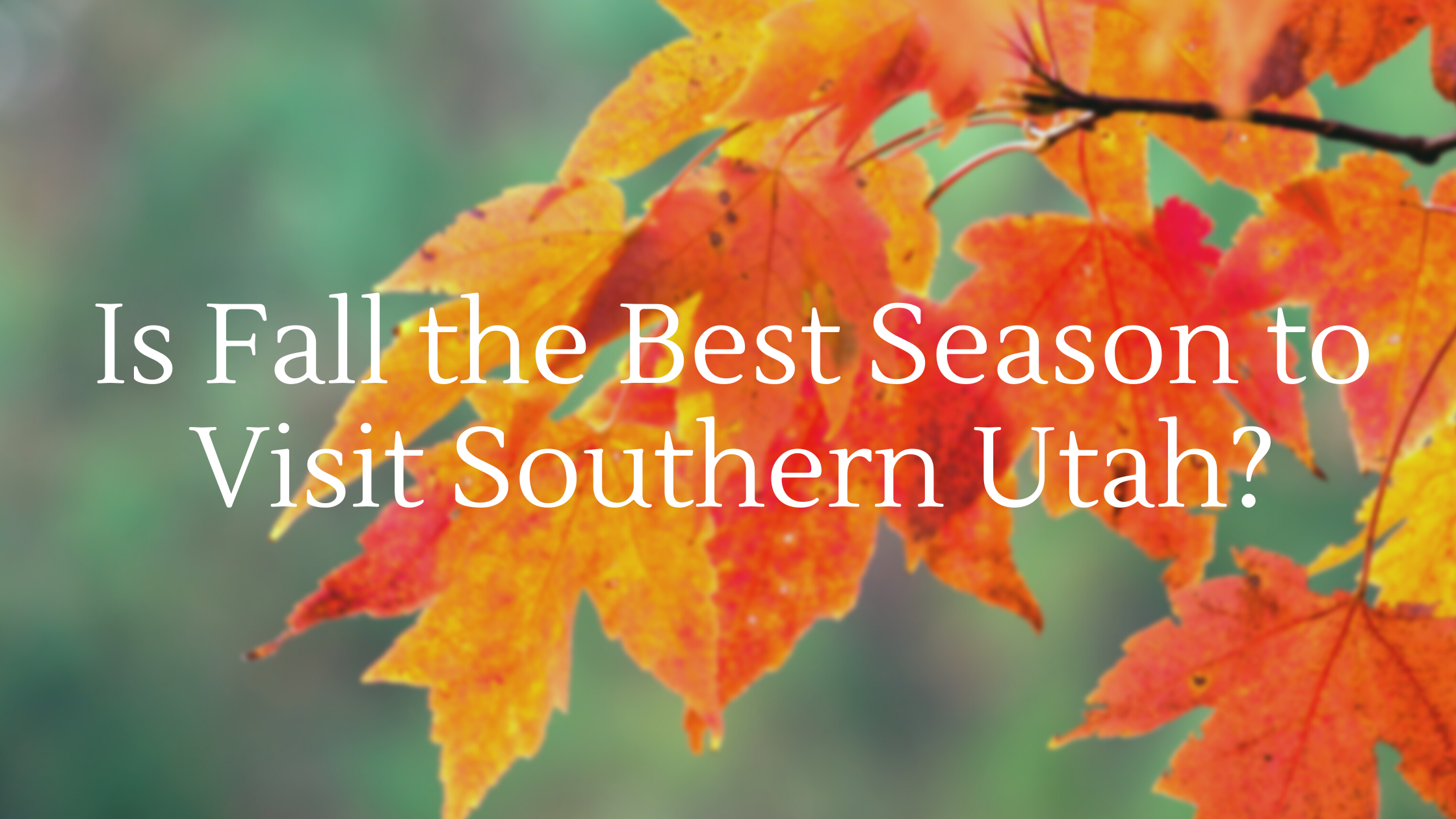 Is Fall the Best Season to Visit Southern Utah image of leaves